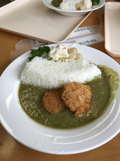 ダムカレー.jpg