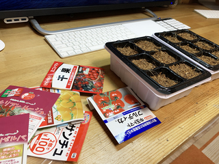 トマトの種まき.jpeg
