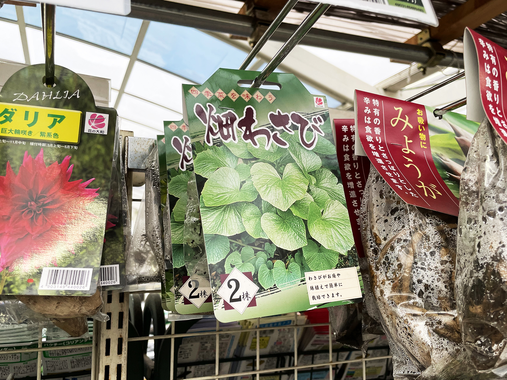 水耕栽培 その他 気分は野菜工場